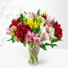 Alstroemeria Bouquet