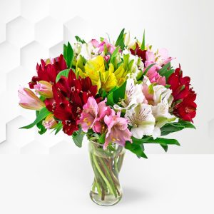 Alstroemeria Bouquet