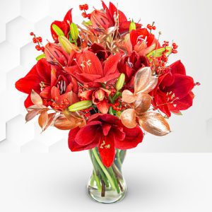 Amaryllis Allure - Free Chocs - Christmas Amaryllis - Christmas Flowers - Christmas Bouquets - Christmas Flowers Delivered