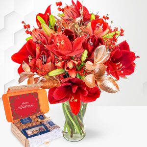 Amaryllis Allure & Chocolate Gift