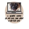 Better Life Pet Personalised Water Bottle, 18oz (500ml), Gifts Ivory