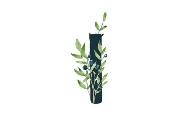 Blueberry Bush Monogram Personalised Travel Mug 16oz (473ml), Gifts Green