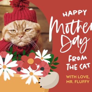 Cat Bouquet 8x6" (20x15cm) Folded Greeting Card - Gloss, Card & Stationery Orange