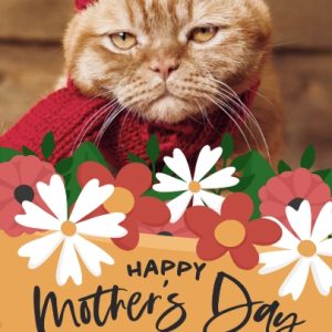 Cat Bouquet 8x6" (20x15cm) Folded Greeting Card - Matt, Card & Stationery Orange