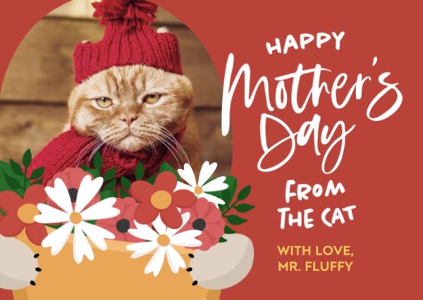 Cat Bouquet 8x6" (20x15cm) Folded Greeting Card - Matt, Card & Stationery Orange