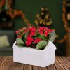 Christmas Kalanchoe House - Christmas Plants - Kalanchoe Plants - Christmas Indoor Plants - Houseplants - Plant Gifts - Free Chocs