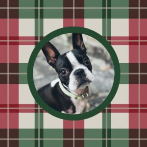 Christmas Plaid Personalised Christmas Bauble, Gifts Multi
