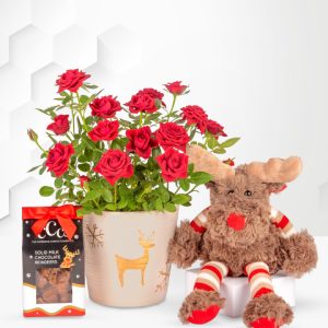 Christmas Reindeer Gift