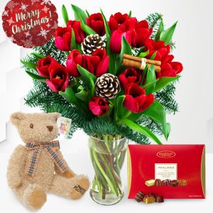 Christmas Tulips Deluxe Gift