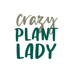 Crazy Plant Lady Personalised Plant Pot, Gifts Green