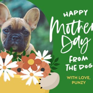 Dog Bouquet 7x5" (18x13cm) Folded Greeting Cards, Card & Stationery Green