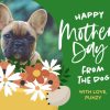 Dog Bouquet 8x6" (20x15cm) Folded Greeting Card - Matt, Card & Stationery Green