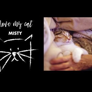 I Love My Cat Personalised Rectangular Tin, Gifts Black