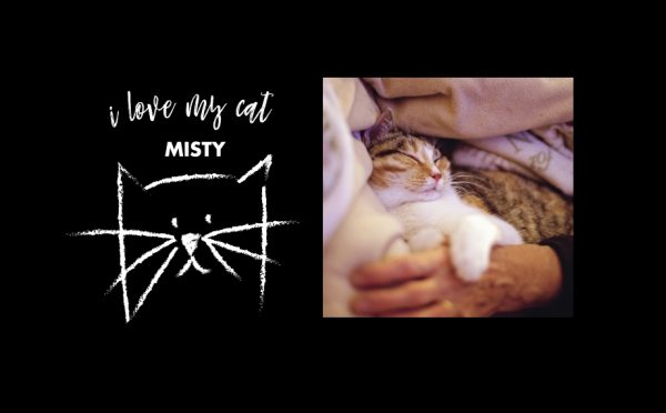 I Love My Cat Personalised Rectangular Tin, Gifts Black