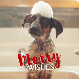 Merry Wishes Personalised Christmas Bauble, Gifts Red