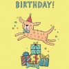 Moonpig Jenny Seddon Illustrated Dog And Gifts Birthday Card