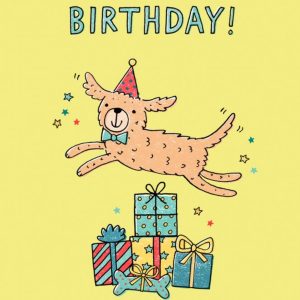 Moonpig Jenny Seddon Illustrated Dog And Gifts Birthday Card
