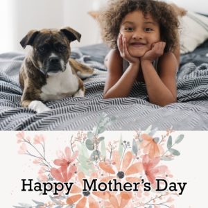 Mother's Bouquet 8x6" (20x15cm) Folded Greeting Card - Gloss, Card & Stationery Green