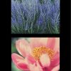 Multi-Photo Squares Personalised Beach Towel, Gifts Black