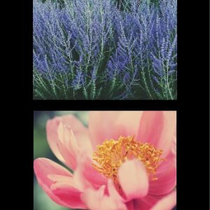 Multi-Photo Squares Personalised Beach Towel, Gifts Black