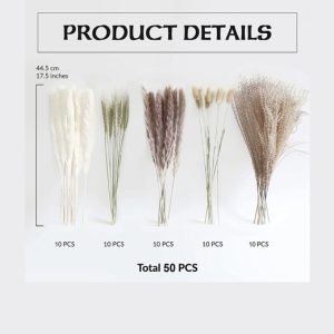 Natural Dried Pampas Grass Bouquet - 6 Options | Wowcher