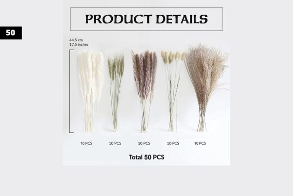 Natural Dried Pampas Grass Bouquet - 6 Options | Wowcher