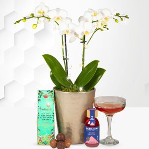Opulent Orchid Christmas Gift