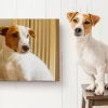 Personalised Canvas Prints - Make Your Wedding Gifts Special