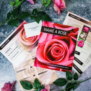 Personalised Name a Rose Bush Gift Set - Personalised with Name & Date
