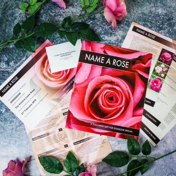 Personalised Name a Rose Bush Gift Set - Personalised with Name & Date