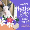 Pet Bouquet 8x6" (20x15cm) Folded Greeting Card - Matt, Card & Stationery Purple