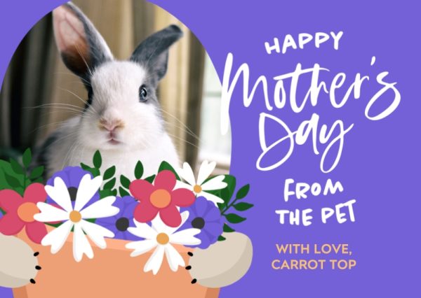 Pet Bouquet 8x6" (20x15cm) Folded Greeting Card - Matt, Card & Stationery Purple