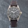 Pre-Owned Tudor Black Bay 58 Watch M79010SG-0001