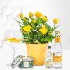 Roses and Gin - Gin Gifts - Gin Gift Sets - Gin Gift Delivery - Gin Hampers - Gin Hamper Delivery - Gin and Rose Plant