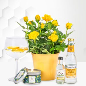 Roses and Gin - Gin Gifts - Gin Gift Sets - Gin Gift Delivery - Gin Hampers - Gin Hamper Delivery - Gin and Rose Plant