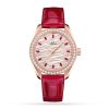 Seamaster Aqua Terra Co-Axial Master Chronometer 34mm Ladies Watch